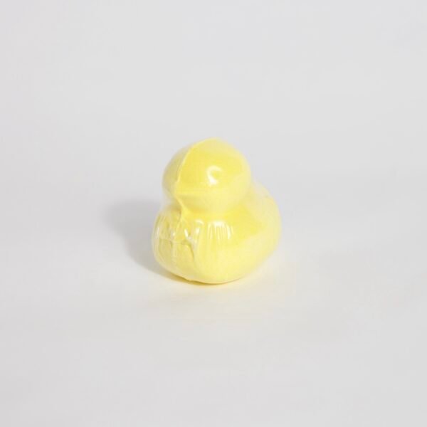Duck bathbomb